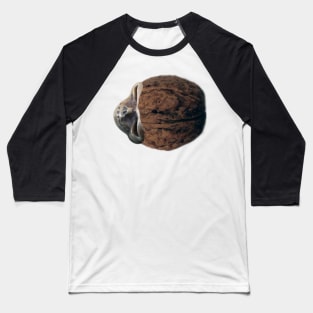 Walnut Skull Baseball T-Shirt